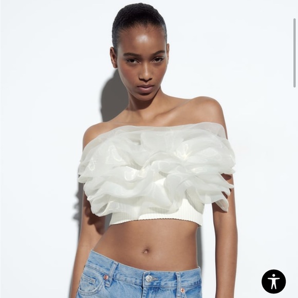 Zara Organza Tube Top - Picture 2 of 6